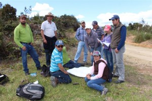 Varios puntos fueron verificados de acuerdo a lo establecido en el Registro Oficial