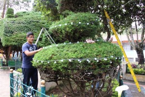 Las figuras naturales del parque con la iluminación adquieren mas belleza 